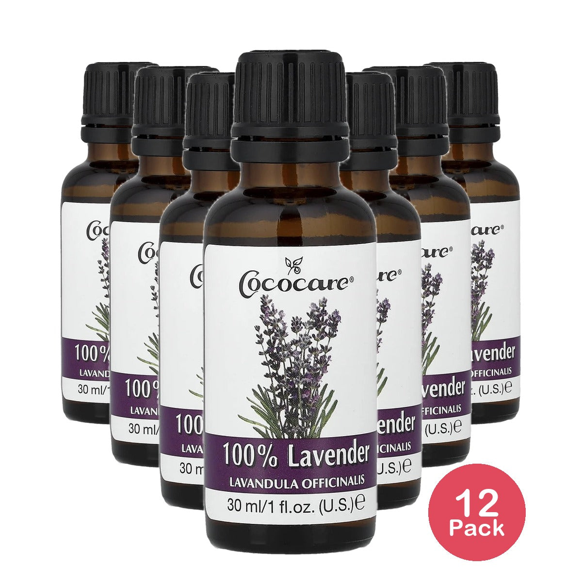 Cococare Lavender Oil 100 Percent Natural, Fluid Ounce 1. Oz (Pack of 12)