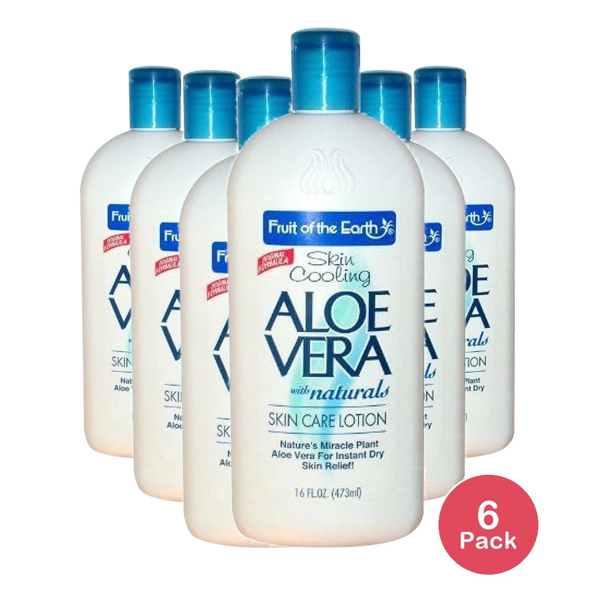 Fruit of the Earth Aloe Vera Skin Care Lotion - 16 Oz. (Pack of 6)