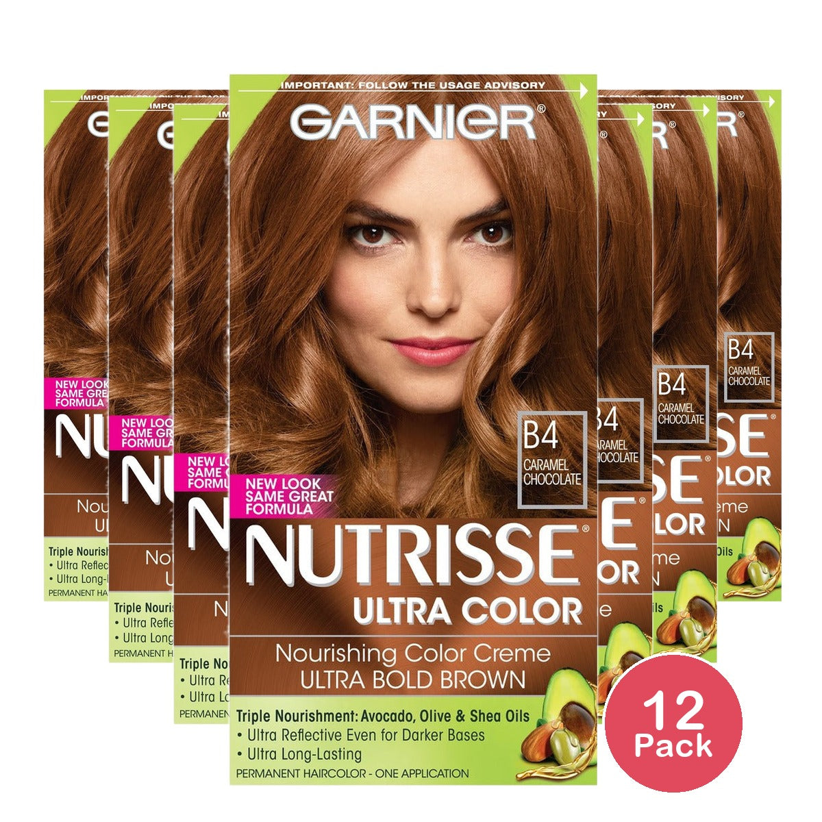 Garnier Nutrisse Hair Color Creme B4 Caramel Chocolate (Pack of 12)