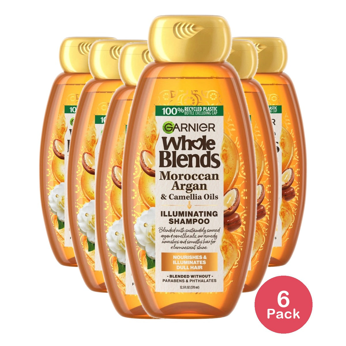 Garnier Whole Blends Nourishing Shampoo Moroccan Argan Camellia Oil Dry Hair 12.5 FL OZ(Pack of 6)