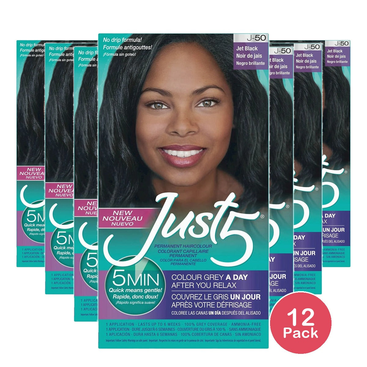 Just 5 Five Minute Permanent Hair Color Jet Black (Pack of 12)