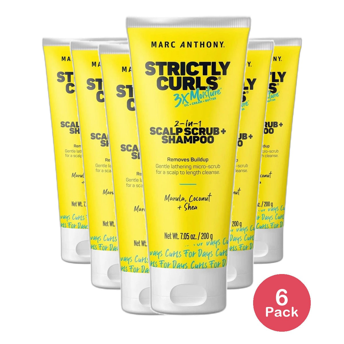Marc Anthony Strictly Curls Coconut Oil and Marula Oil Scalp Scrub and Shampoo 7.05Oz (Pack of 6)