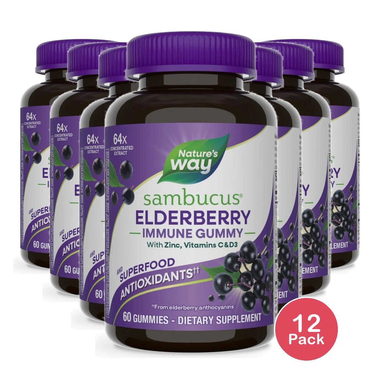 Nature's Way Sambucus Elderberry Gummies 60ct (Pack of 12)