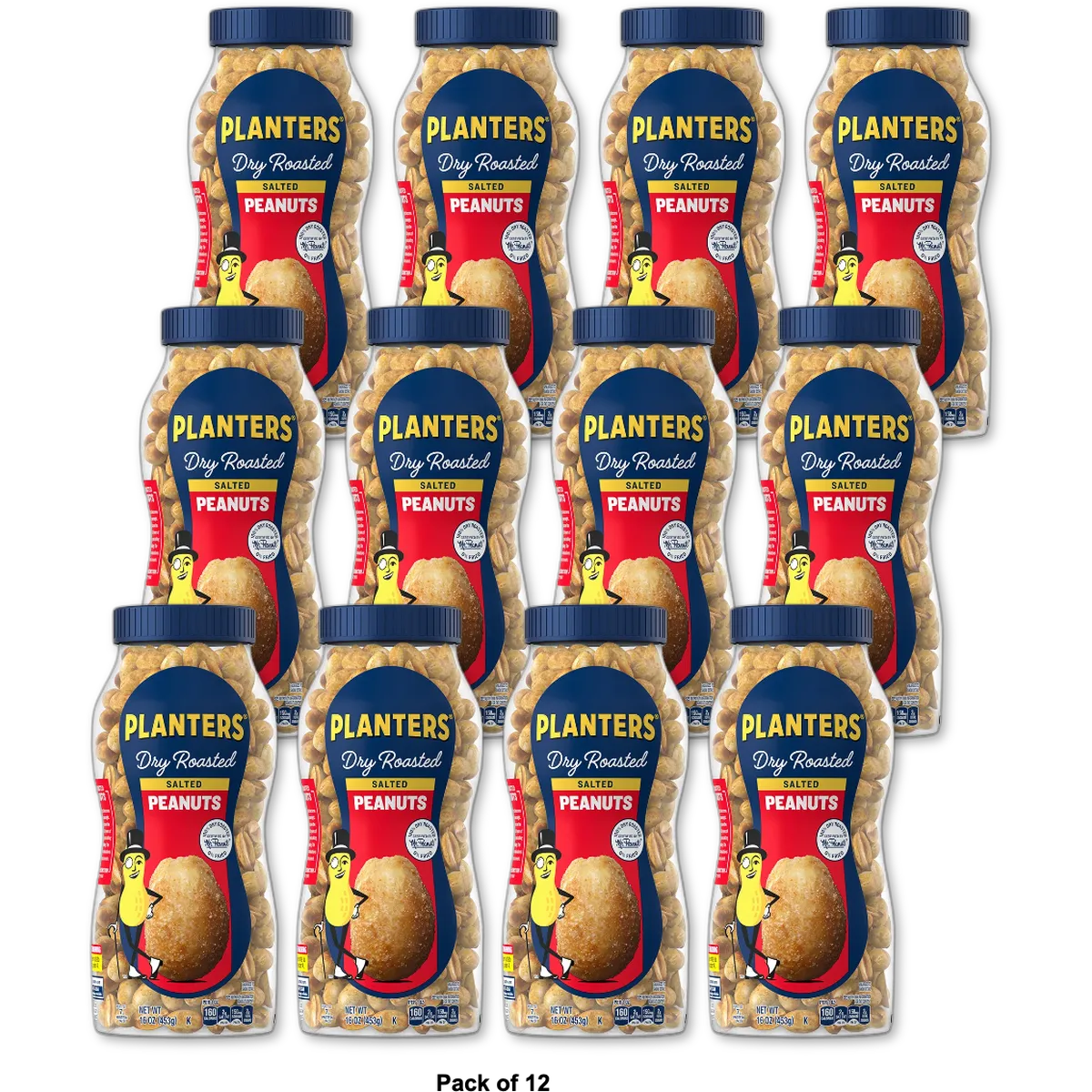 Planters Salted Dry Roasted Peanuts Party Snacks 16Oz (Pack of 12)
