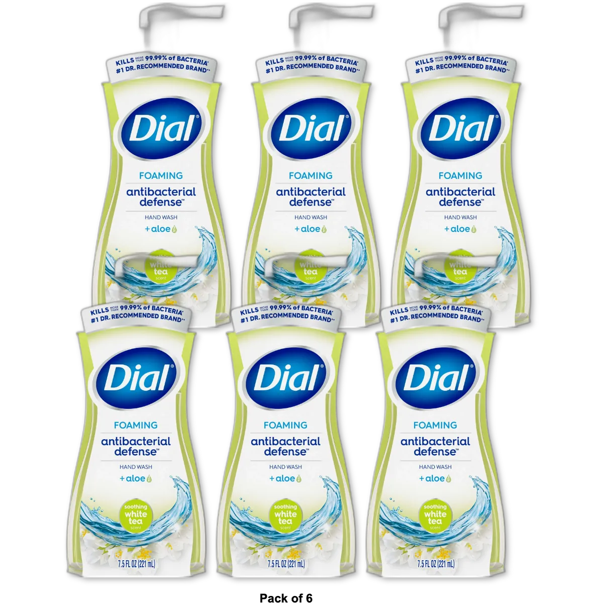 Dial Complete Foaming Antibacterial Hand Wash White Tea7.5Oz (Pack of 6)