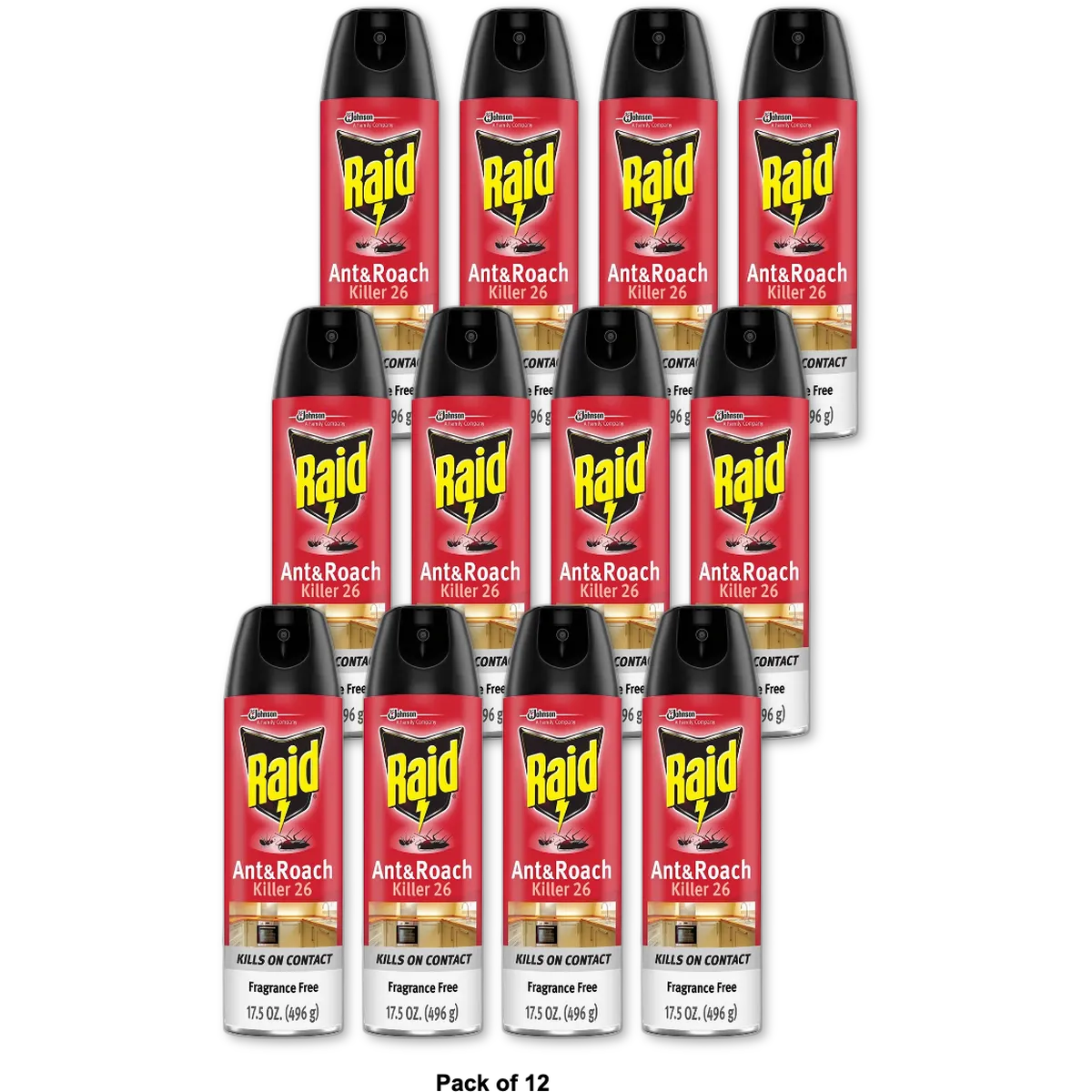 Raid Ant And Roach Killer Fragrance Free17.5Oz (Pack of 12)