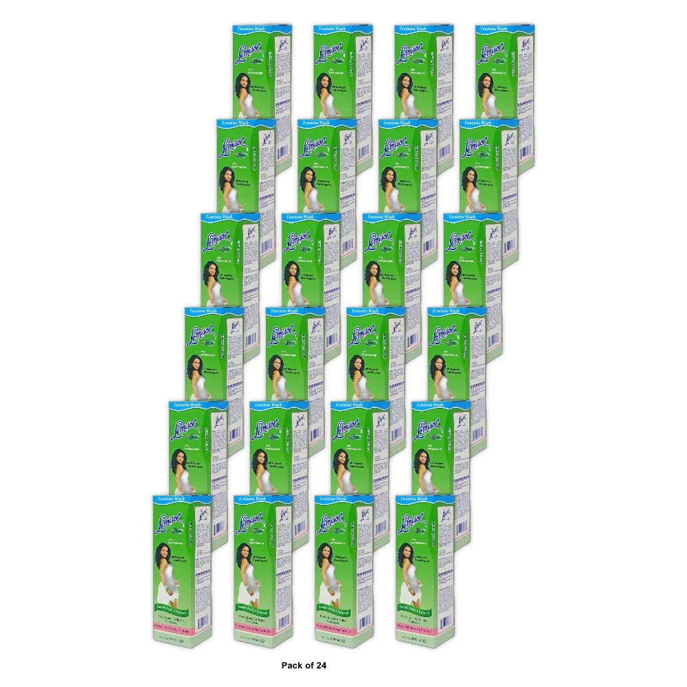 Lemisol Feminine Wash Plus Gentle Daily Cleanser 16 fl oz (Pack of 24)