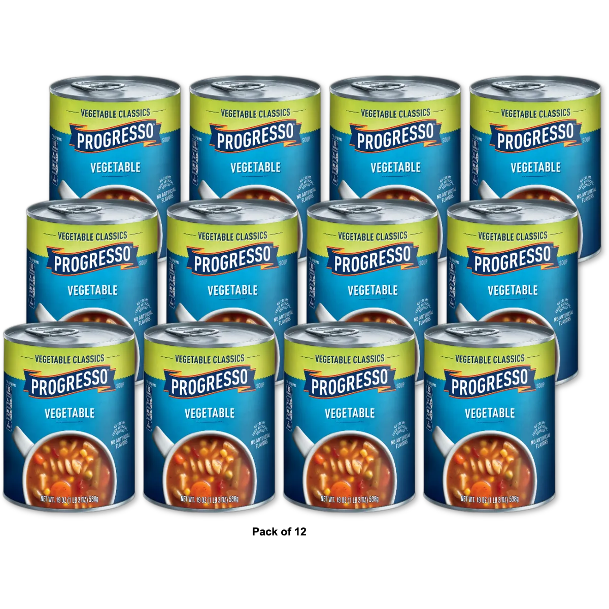 Progresso Vegetable Classics Vegetable Soup 19Oz (Pack of 12)