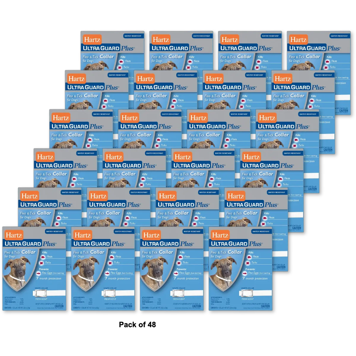 Hartz UltraGuard Plus Flea And Tick Collar For Dogs 0.92Oz (Pack of 48)
