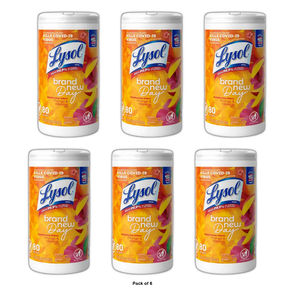 Lysol Disinfectant Antibacterial Cleaning Wipes 16.7oz (Pack of 6)