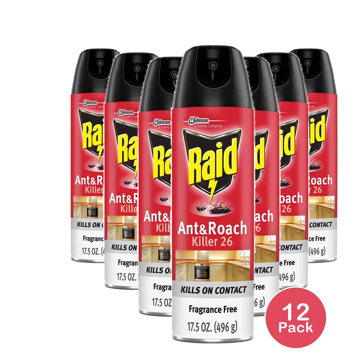 Raid Ant And Roach Killer Fragrance Free17.5Oz (Pack of 12)
