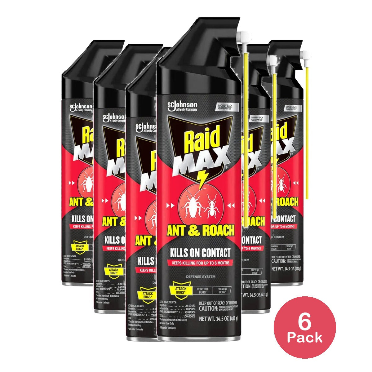 Raid Max Roach Insect Killer Aerosol Spray On Bugs14.5Oz (Pack of 6)