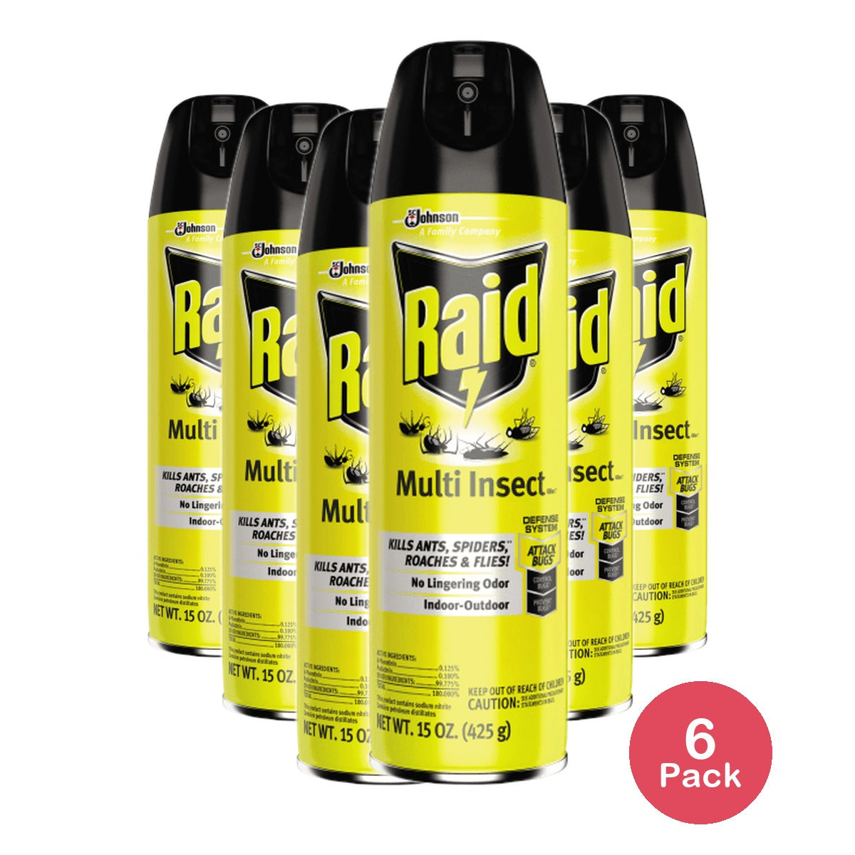 Raid Multi Insect Killer 15 Oz (Pack of 6)
