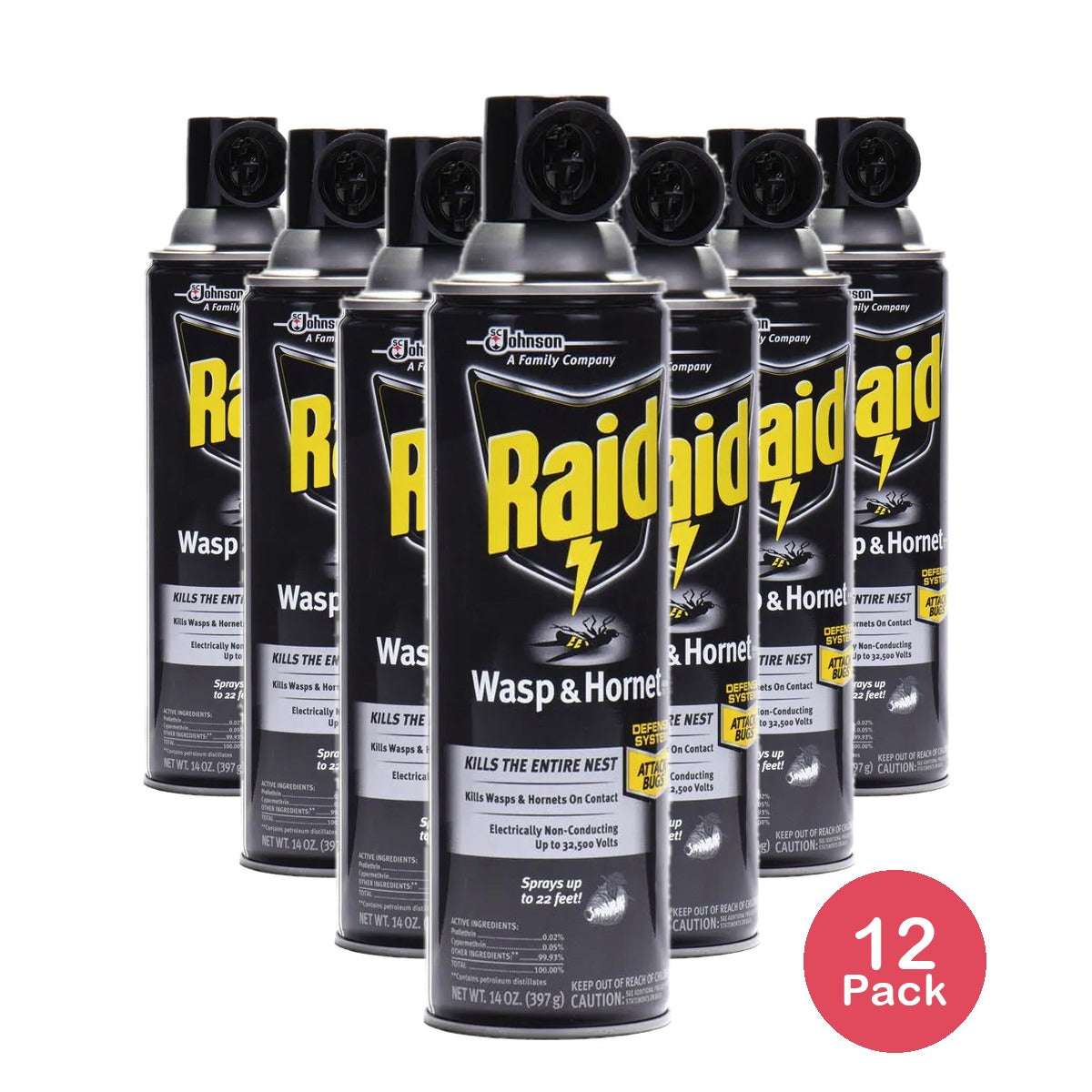 Raid Wasp And Hornet Spray 14Oz (Pack of 12)