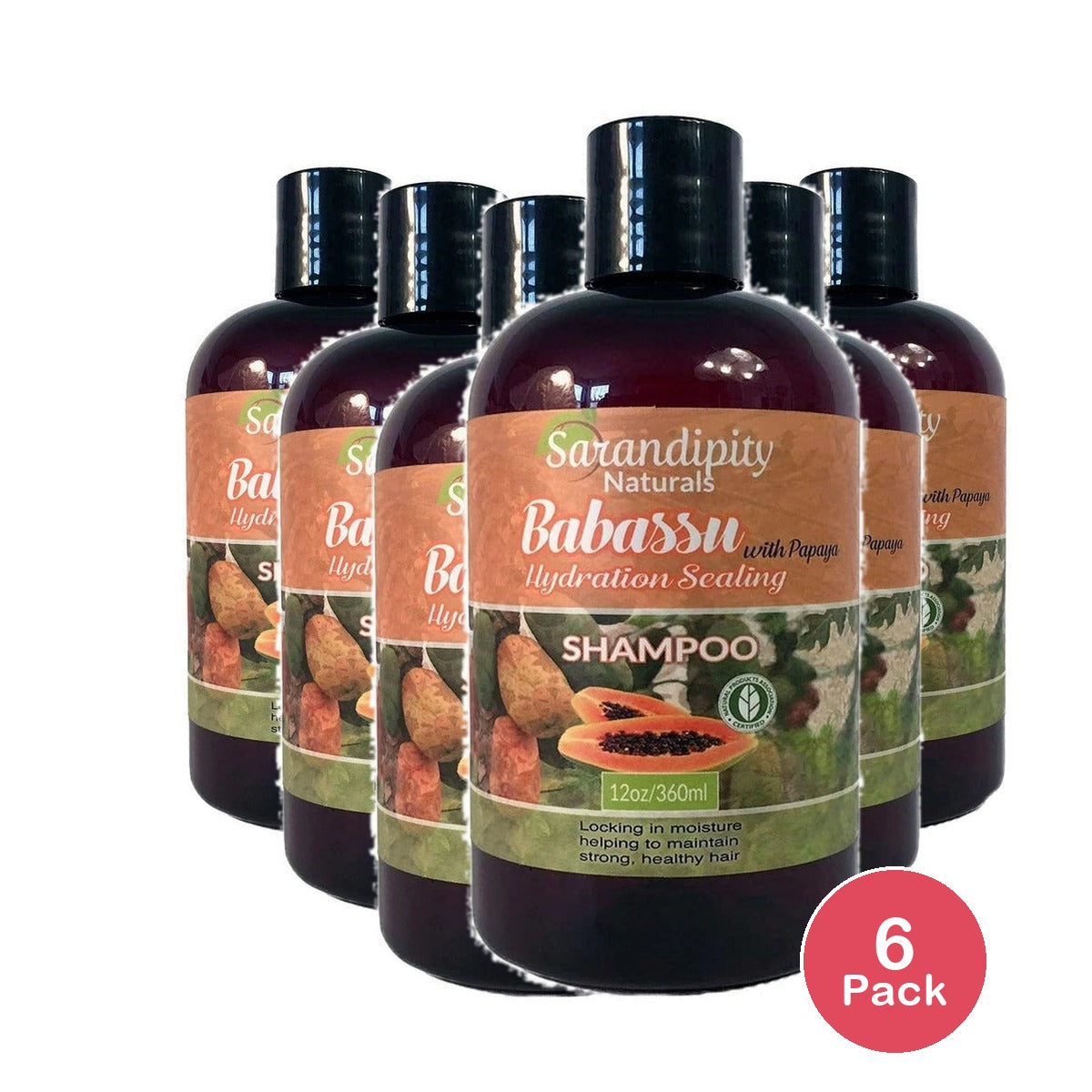 Sarandipity Naturals Sarandipity Naturals Shampoo 12 oz (Pack of 6)