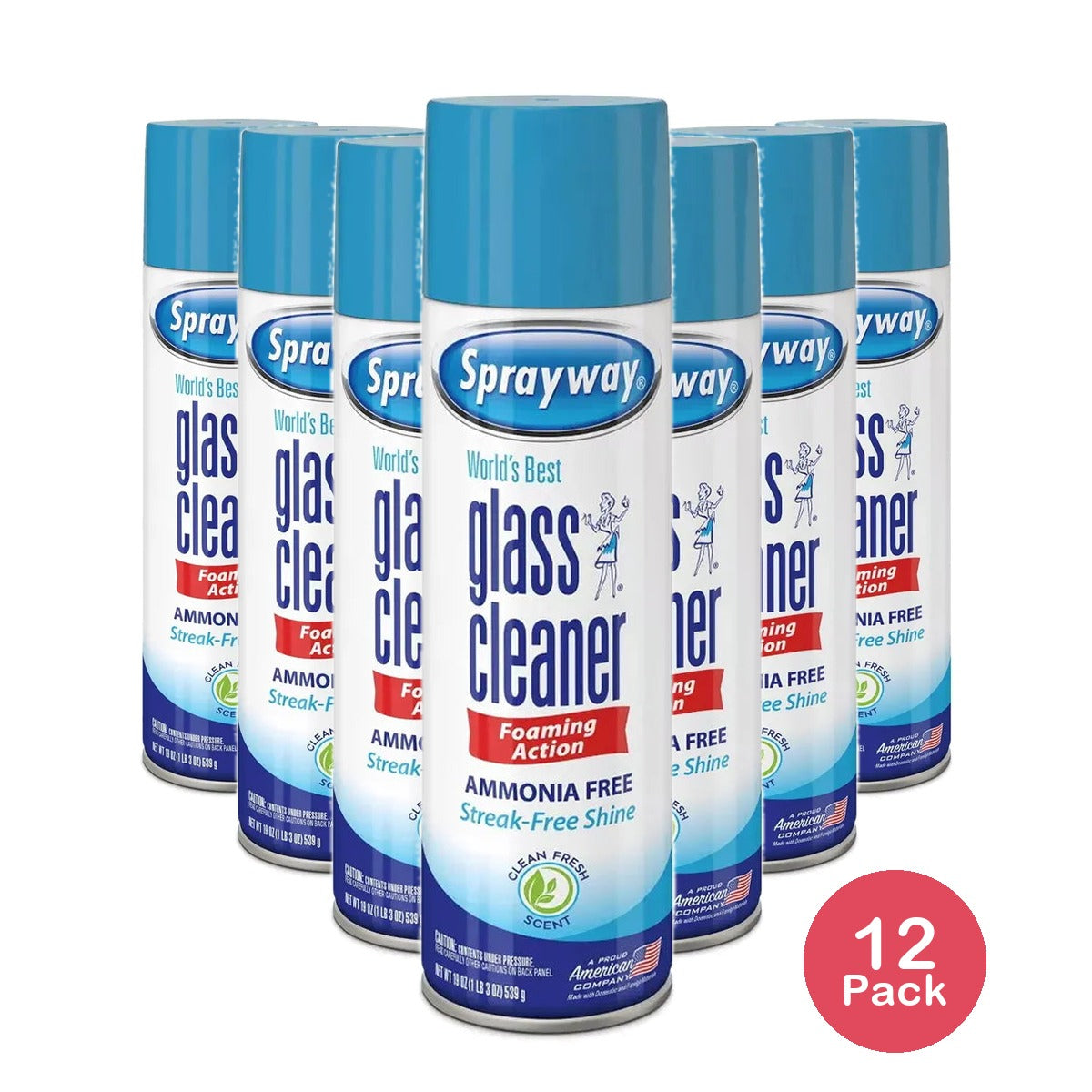 Sprayway Worlds Best Glass Cleaner 19Oz (Pack of 12)