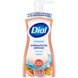 Dial Antibacterial Foaming Hand Wash Citrus Sunburst 7.5 FL OZ (Pack of 6)