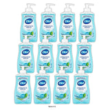 Dial Antibacterial Defense Liquid Hand Soap - Spring Water - 11 fl Oz (Pack of 12)