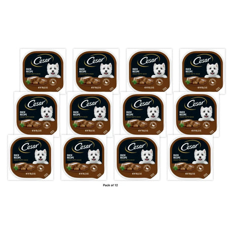 Cesar Classic Loaf In Sauce Duck Recipe Wet Dog Food Adult 3.5 Oz (Pack of 12)