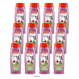 Hartz Groomers Best Conditioning Dog Shampoo 18Oz (Pack of 12)