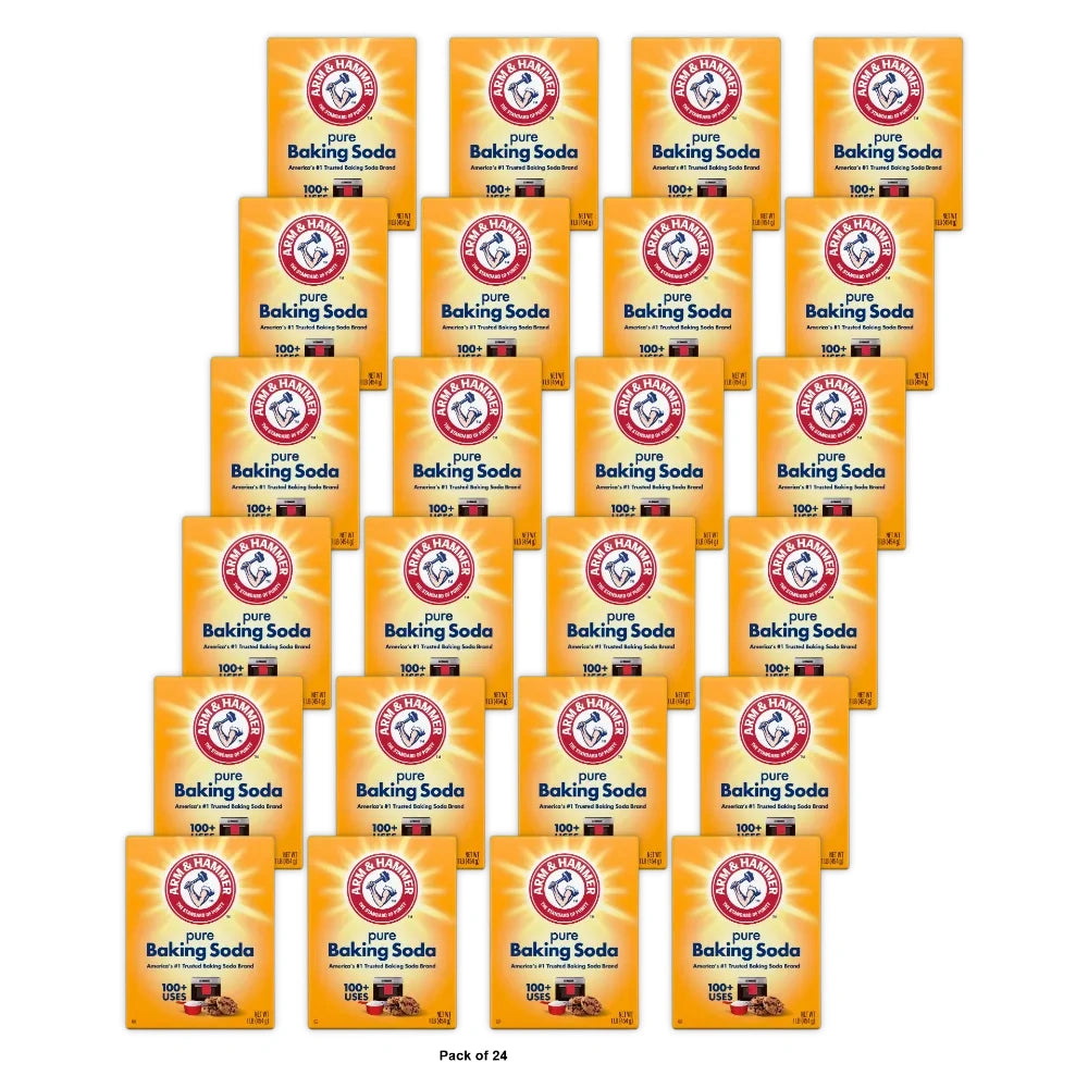 Church & Dwight #01110 16 Arm & Hammer 16 Oz (Pack of 24)