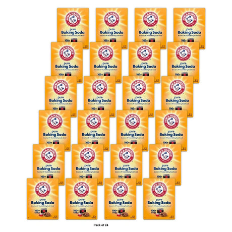 Church & Dwight #01110 16 Arm & Hammer 16 Oz (Pack of 24)