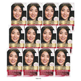 L'Oreal Paris Excellence Triple Protection Permanent Color 1 Black 6.3 fl OZ (Pack of 12)