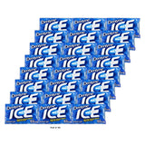 114503 Dentyne Peppermint Ice Gum - Pack of 9 - 16 Piece (Pack of 162)