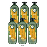 Herbal Essences Honey Sulfate Free Moisturizing Shampoo, For Dry Hair - 13.5 fl oz (Pack of 6)