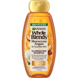 Garnier Whole Blends Nourishing Shampoo Moroccan Argan Camellia Oil Dry Hair 12.5 FL OZ(Pack of 6)