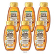 Garnier Whole Blends Nourishing Shampoo Moroccan Argan Camellia Oil Dry Hair 12.5 FL OZ(Pack of 6)