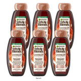 Garnier Whole Blends Frizz Control Nourishing Daily Shampoo All Hair Types 12.5 fl oz (Pack of 6)
