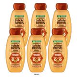 Garnier Whole Blends Honey Treasures Repairing Shampoo - 12.5 fl OZ (Pack of 6)