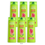 Garnier Fructis Color Shield Color Protecting Shampoo Acai Berry Extract Color 12.5 fl oz(Pack of 6)