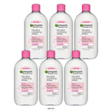 Garnier Micellar Water Hydrating Facial Cleanser &amp; Makeup Remover - Basic Cleans 23.7 fl oz (Pack of 6)