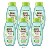 Garnier Whole Blends Refreshing Shampoo with Coconut Water and Aloe Vera 12.5 fl oz(Pack of 6)