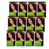 CL.NAT INSTINCTS 4RV DK BURG (Pack of 12)