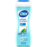 Dial Body Wash Refresh & Renew Spring Water 16 FL OZ (Pack of 6)