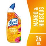 Lysol® Toilet Bowl Cleaner Gel For Cleaning and Disinfecting Stain Removal Br 24 oz (Pack of 9)