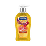 Softsoap Joyful Liquid Hand Soap 11.25 Oz (Pack of 6)