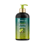 Mielle Organics Avocado & Tamanu Anti-Frizz Shampoo 12 Oz (Pack of 6) - view 3