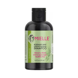 Mielle Rose Mint Shampoo 3.2 Oz (Pack of 12)