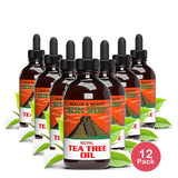 Aztec Essential Tea Tree Oil 4 Oz (Pack of 12)