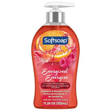 Softsoap Energized Liquid Hand Soap 11.25 Oz (Pack of 6)