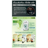 Garnier Nutrisse Ultra Color Nourishing Hair Color Creme B11 Jet Blue Black 8.48oz (Pack of 12)