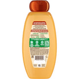 Garnier Whole Blends Repairing Shampoo with Honey Treasures 22Oz (Pack of 4)