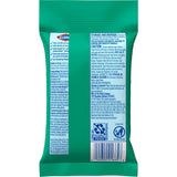 Clorox Disinfecting Wipes Bleach Free 3.04oz (Pack of 24)