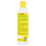 Jamaican Mango & Lime 8 oz. Tingle Shampoo Moisturizing Twist and Braids Unis (Pack of 6)