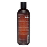 Hask Argan Oil Repairing Shampoo - 12 fl oz (Pack of 4)