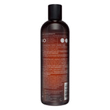 Hask Biotin Boost Thickening Shampoo with Biotin, Collagen and Coffee - 12 fl oz (Pack of 4)